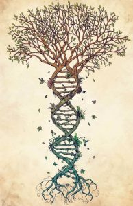 DNA family tree image