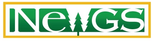 newgs-logo-cropped