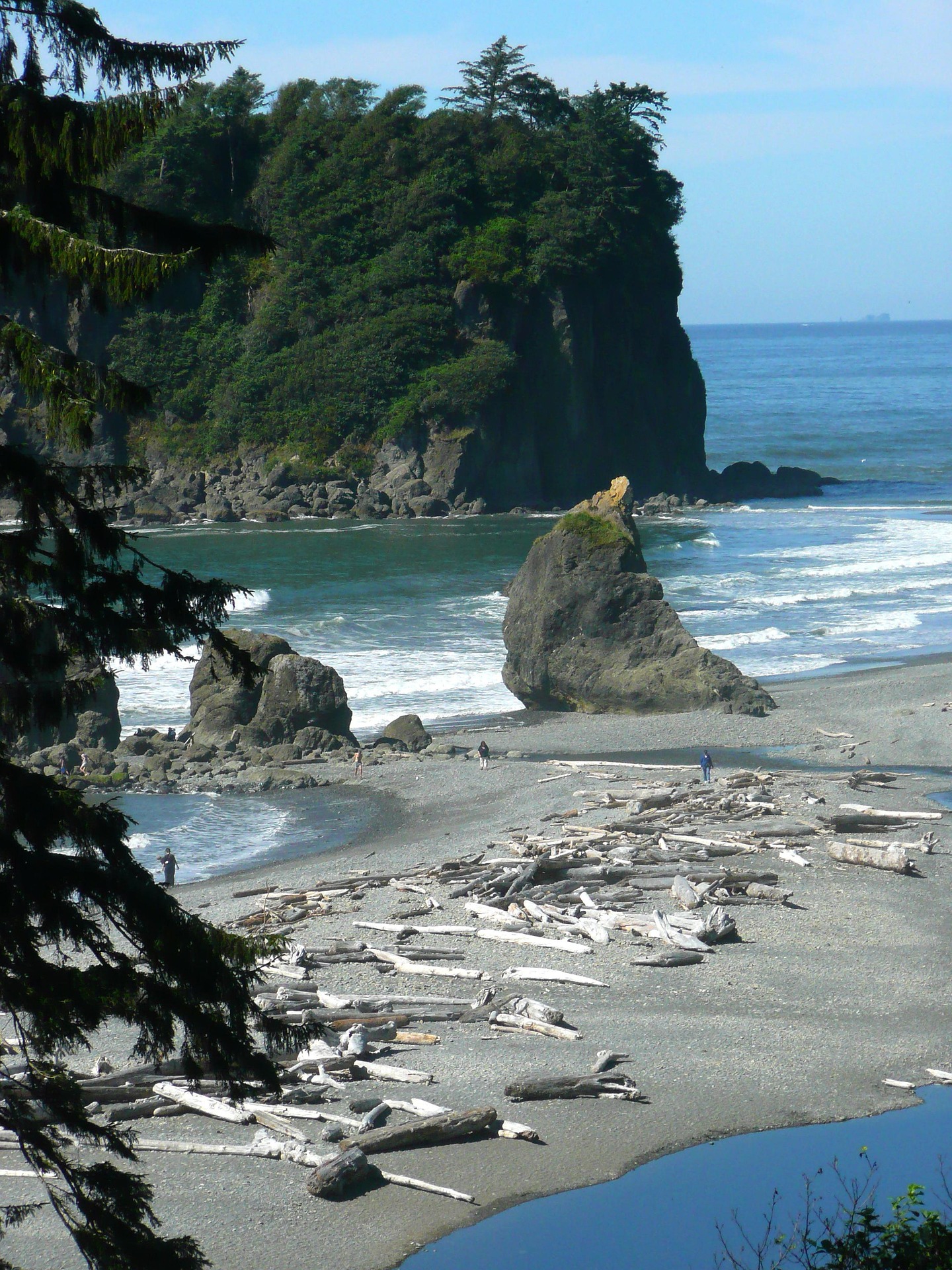 Washington State Genealogical Society